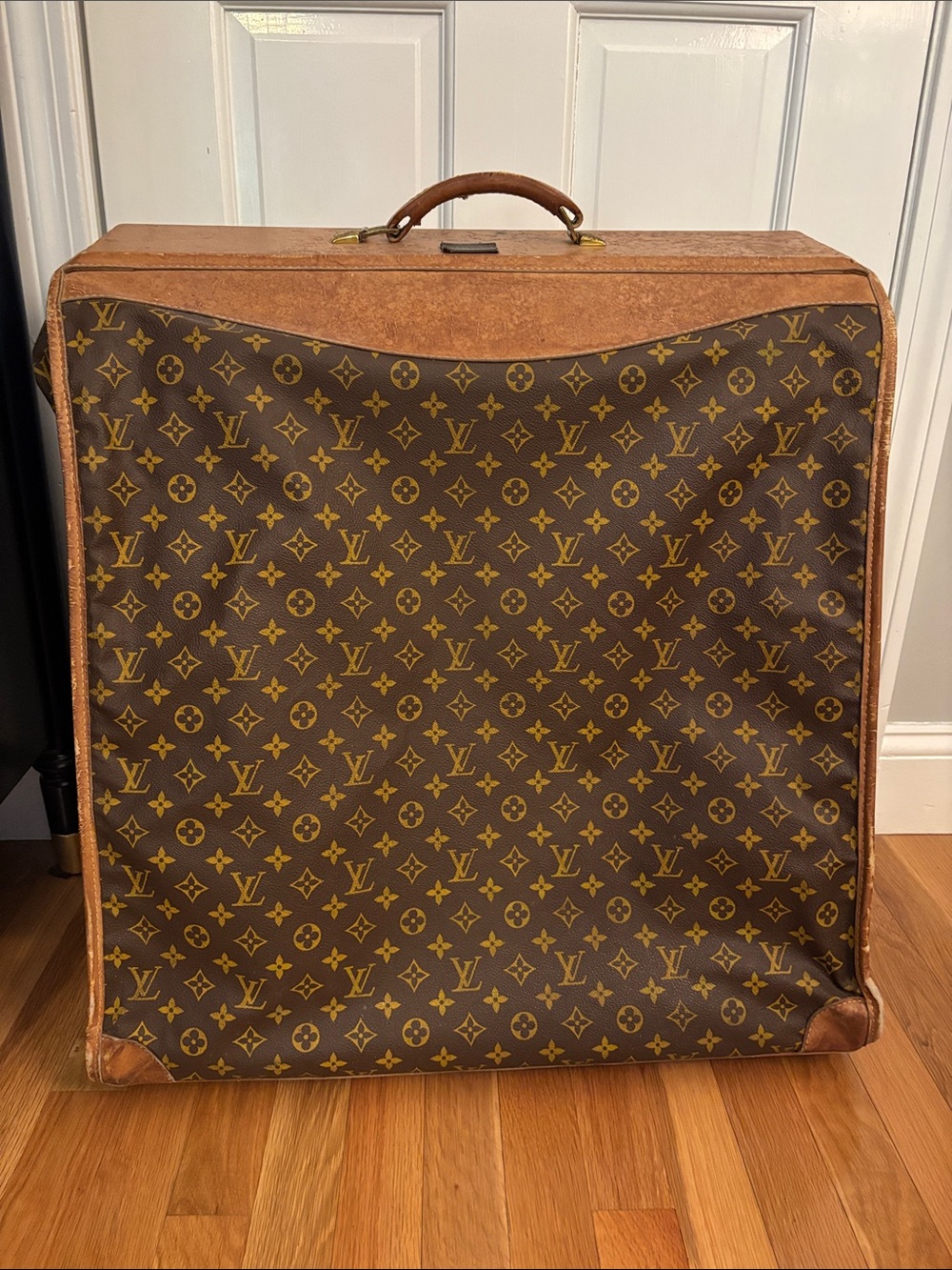 Louis Vuitton Brown Monogram Travel Garment Cover with Tan Trim